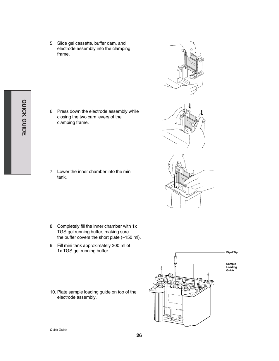 Quick guide | Bio-Rad Comparative Proteomics Kit II: Western Blot Module User Manual | Page 2 / 9