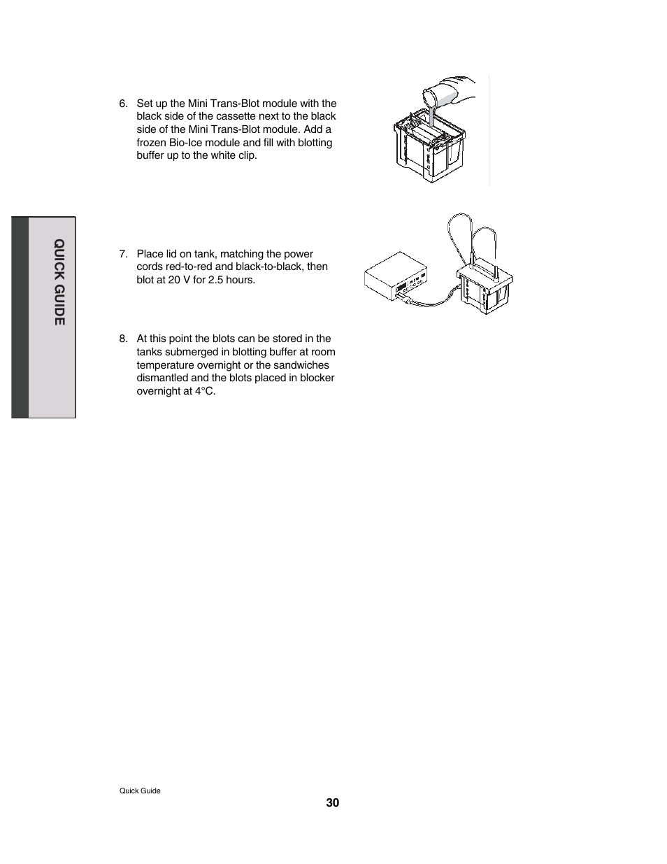 Bio-Rad Comparative Proteomics Kit II: Western Blot Module User Manual | Page 6 / 9