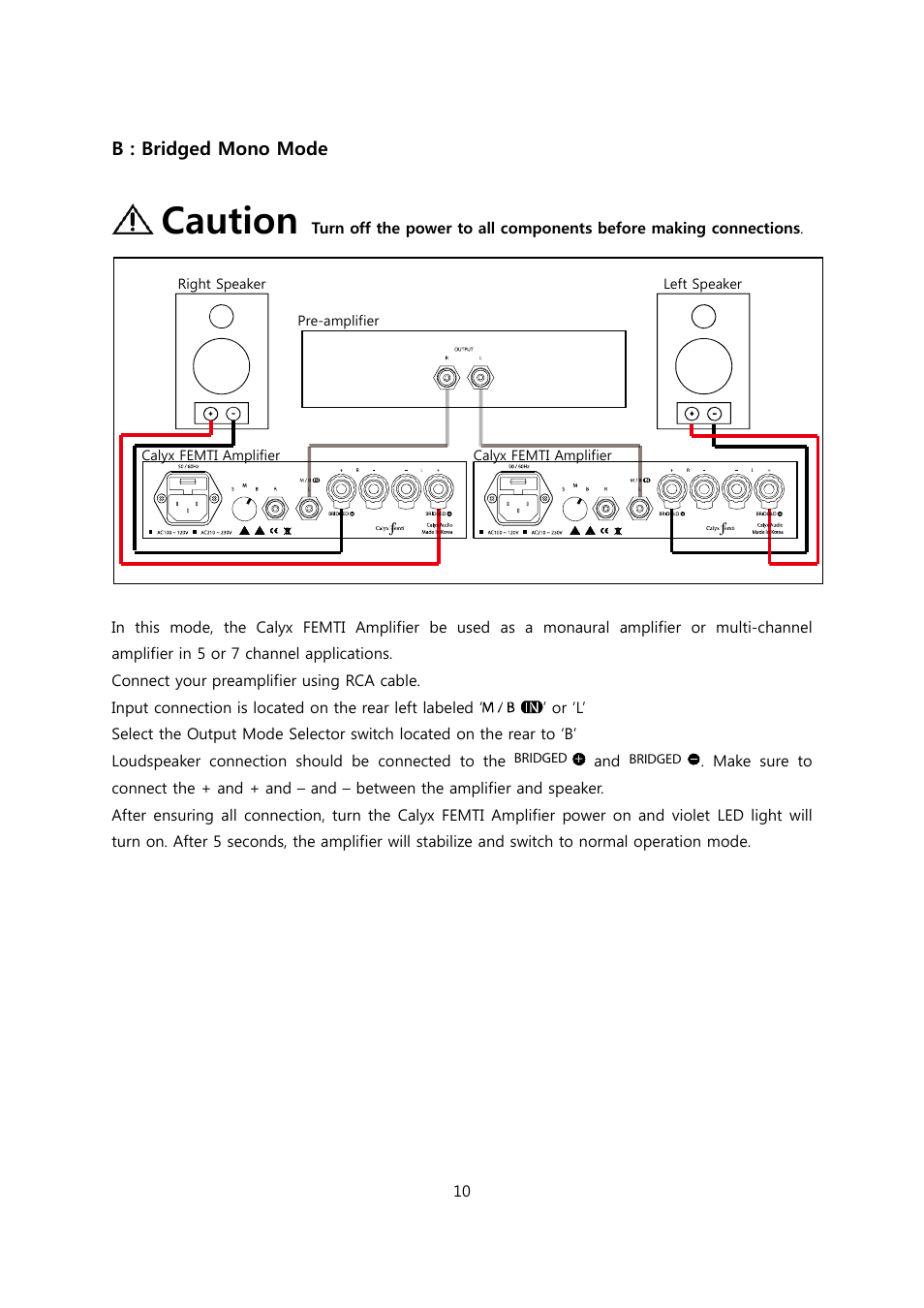 Caution | Calyx FEMTI 125 / Triple Mode Amplifier User Manual | Page 10 / 17