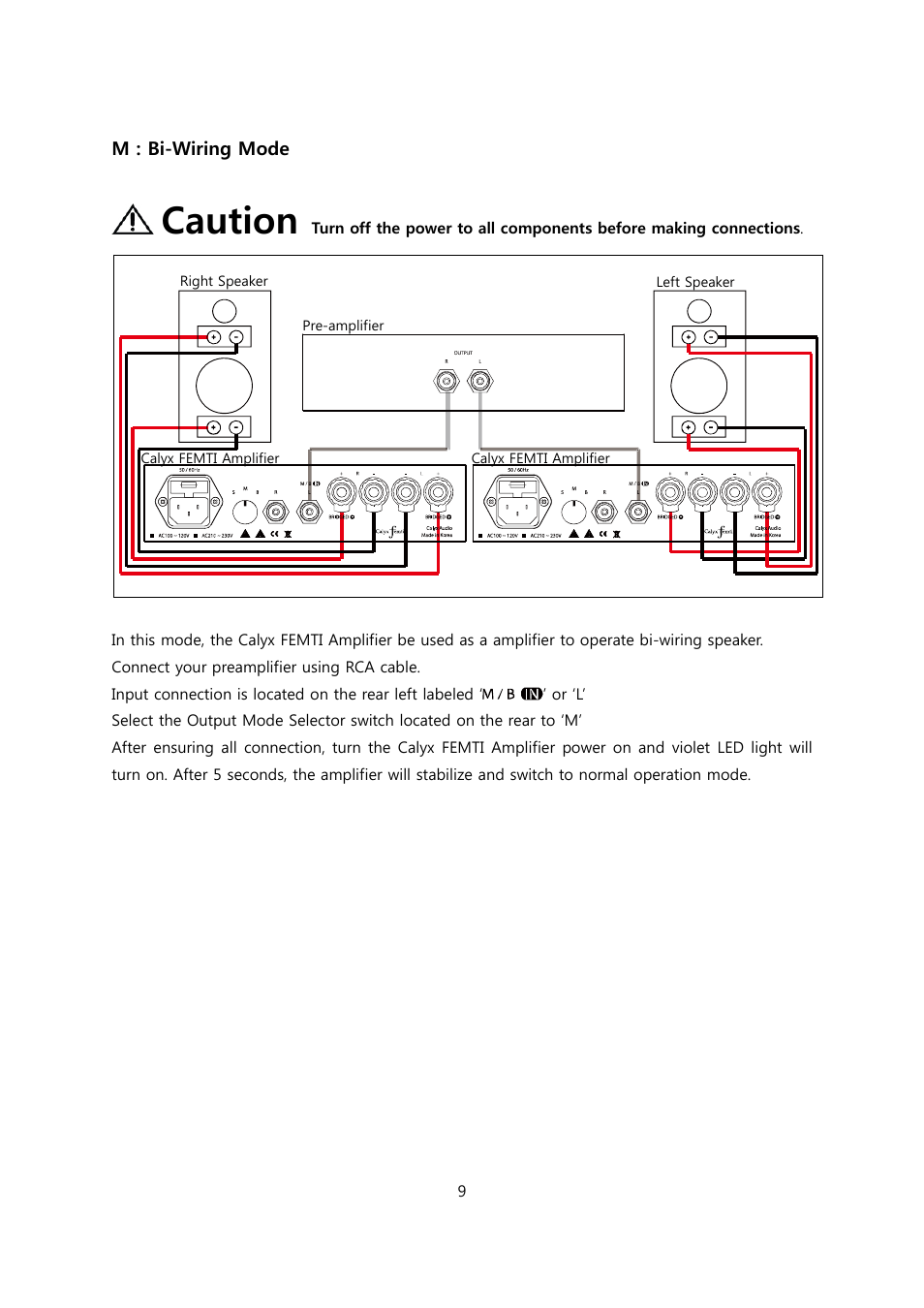 Caution | Calyx FEMTI 125 / Triple Mode Amplifier User Manual | Page 9 / 17