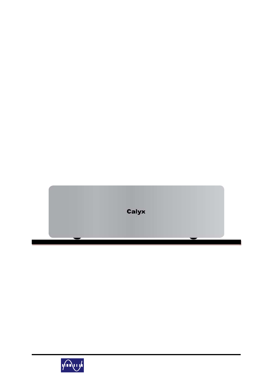 Digital, Analog co, ltd | Calyx 500 - Mono Block Power Amplifier User Manual | Page 13 / 13