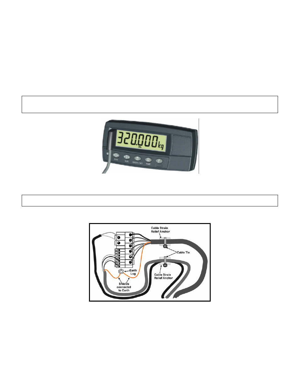 Cooper Instruments & Systems DFI 250X Digital Weight Indicator User Manual | Page 11 / 38