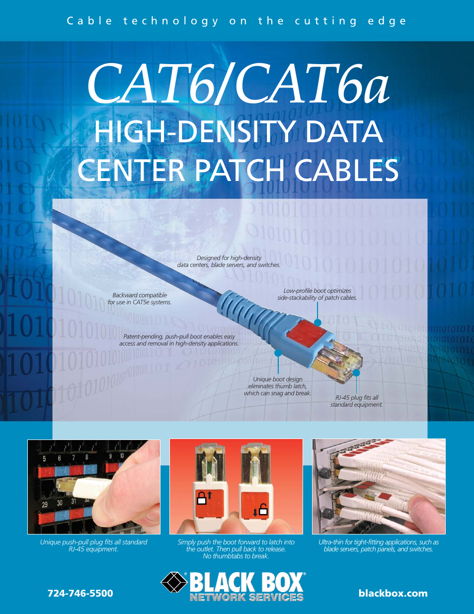 Black Box CAT6a User Manual | 2 pages