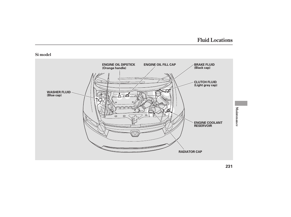 Fluid locations | HONDA 2008 honda civic User Manual | Page 237 / 326