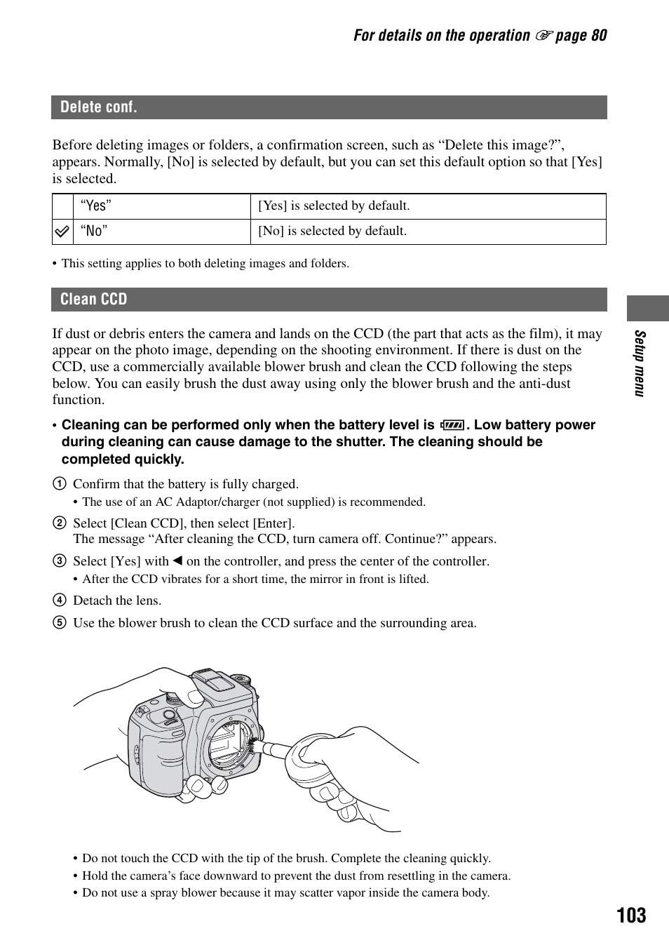 Clean ccd | Sony DSLR-A100 User Manual | Page 103 / 159
