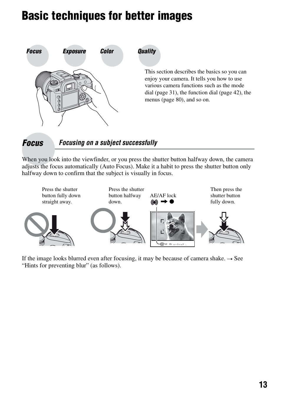 Basic techniques for better images, Focus, Focus – focusing on a subject successfully | Sony DSLR-A100 User Manual | Page 13 / 159