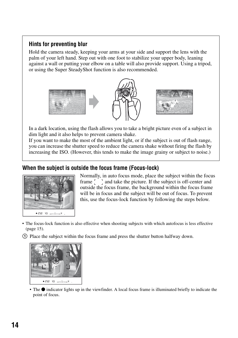 Hints for preventing blur” (a | Sony DSLR-A100 User Manual | Page 14 / 159