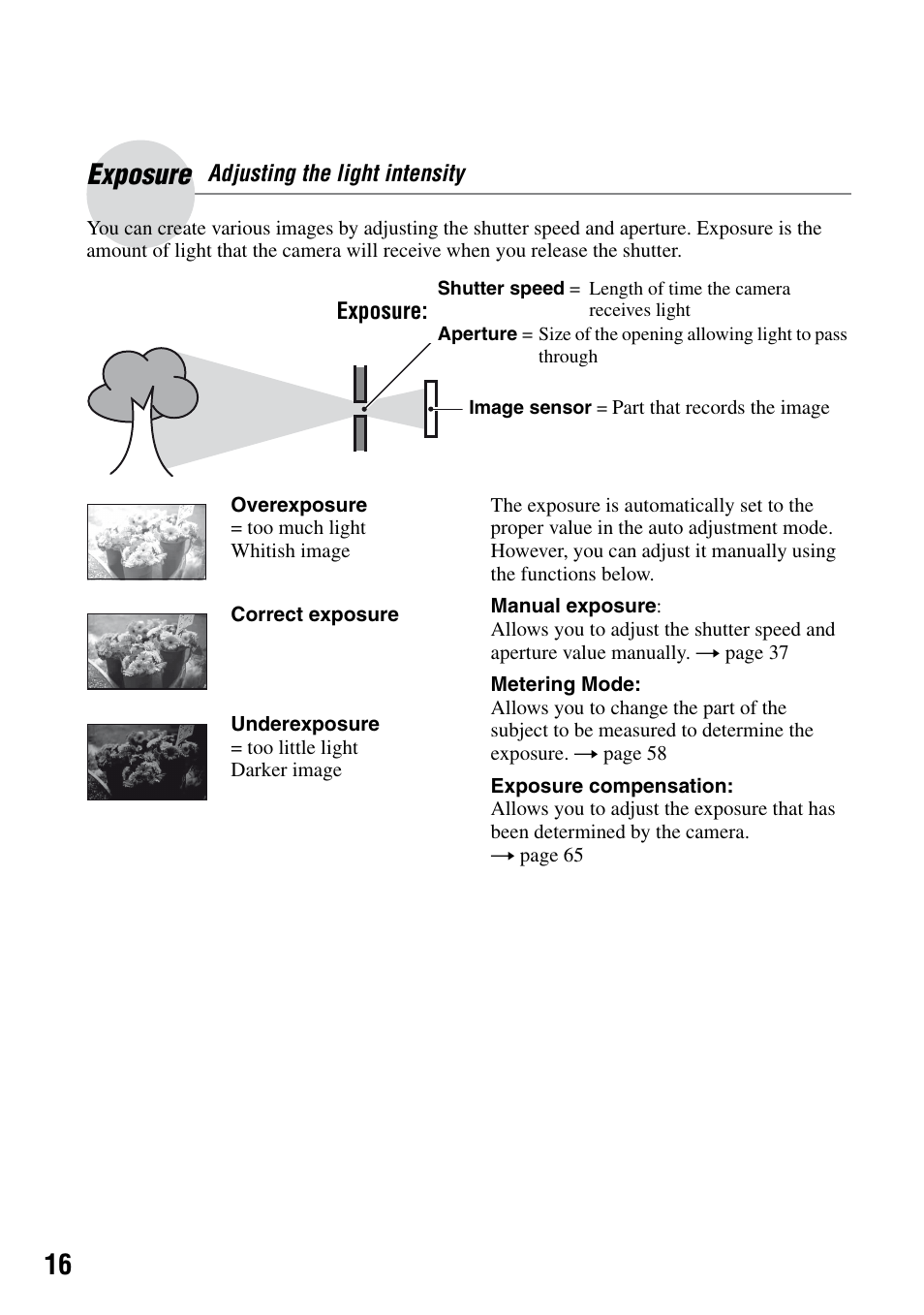 Exposure, Adjusting the light intensity | Sony DSLR-A100 User Manual | Page 16 / 159