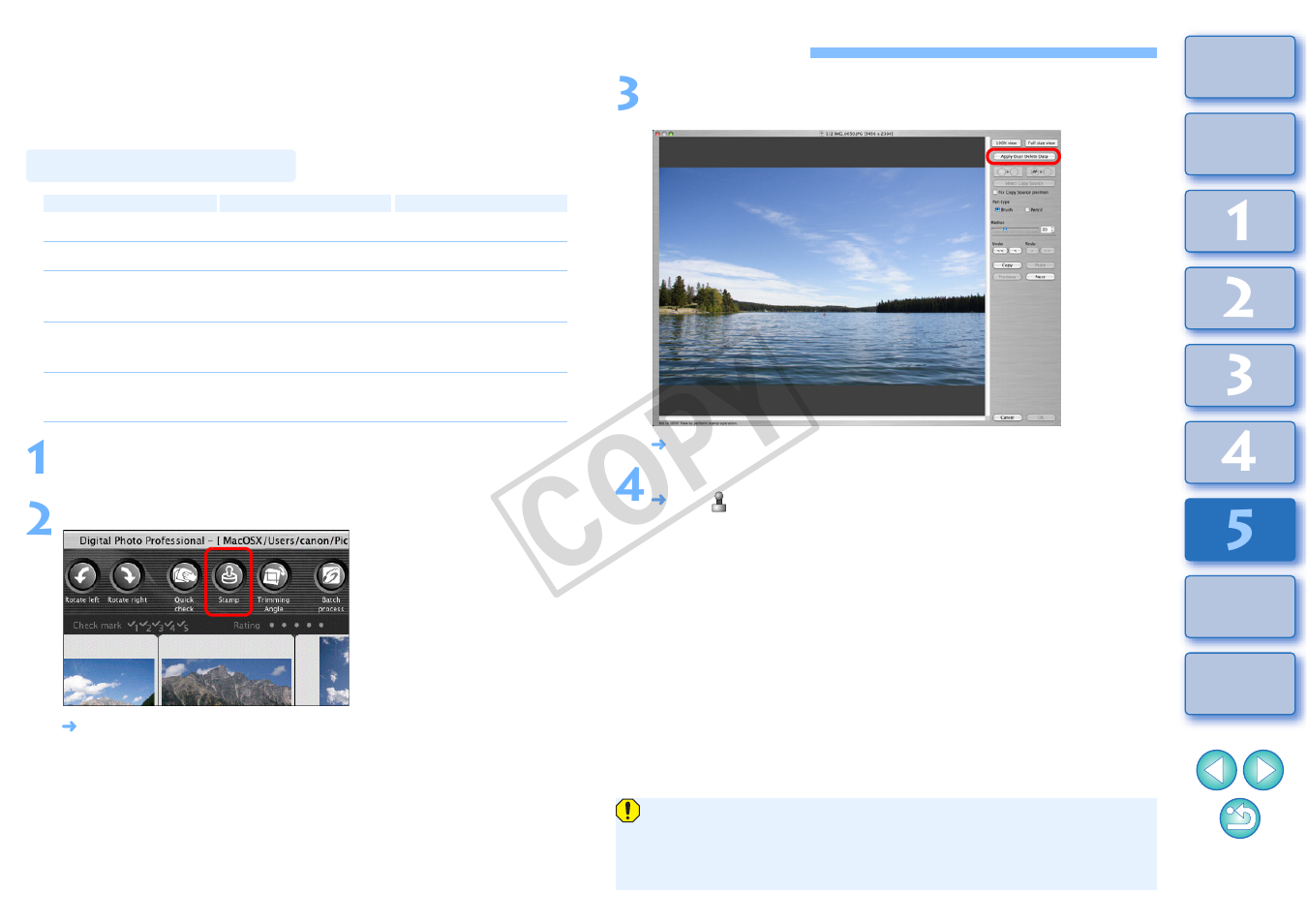Performing automatic dust erasure processing, P.101, 01 to p.1 | Compatible cameras, Cop y | Canon t2i 3.9 for Macintosh User Manual | Page 102 / 132