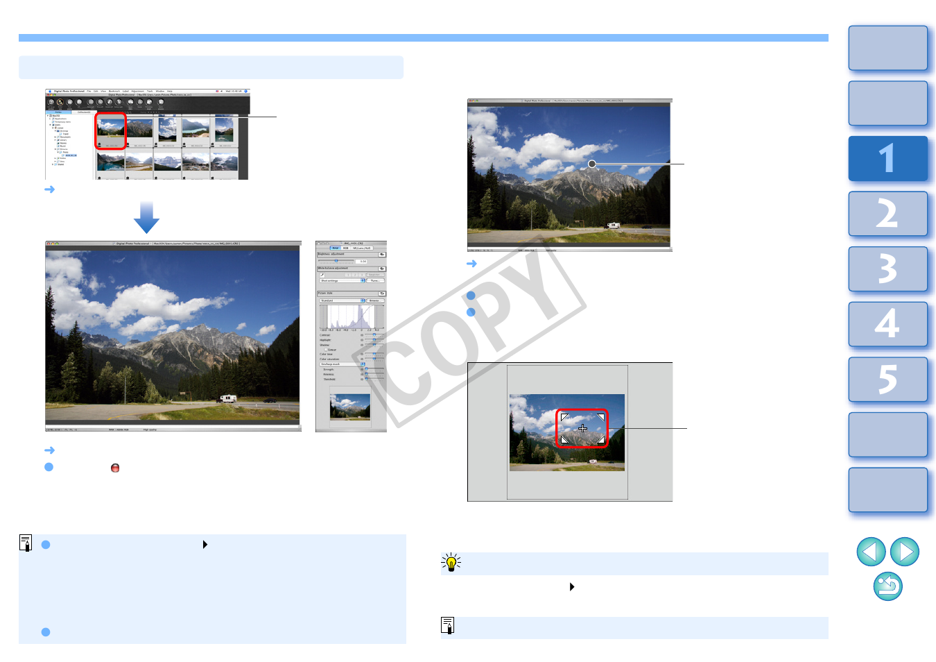 P.11, Enlarge and view an image in the edit window, Enlarging and viewing a specific area | Cop y | Canon t2i 3.9 for Macintosh User Manual | Page 12 / 132