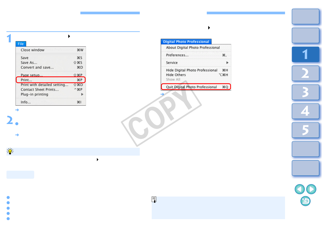 Printing an image, Quitting dpp, Printing | Cop y | Canon t2i 3.9 for Macintosh User Manual | Page 15 / 132