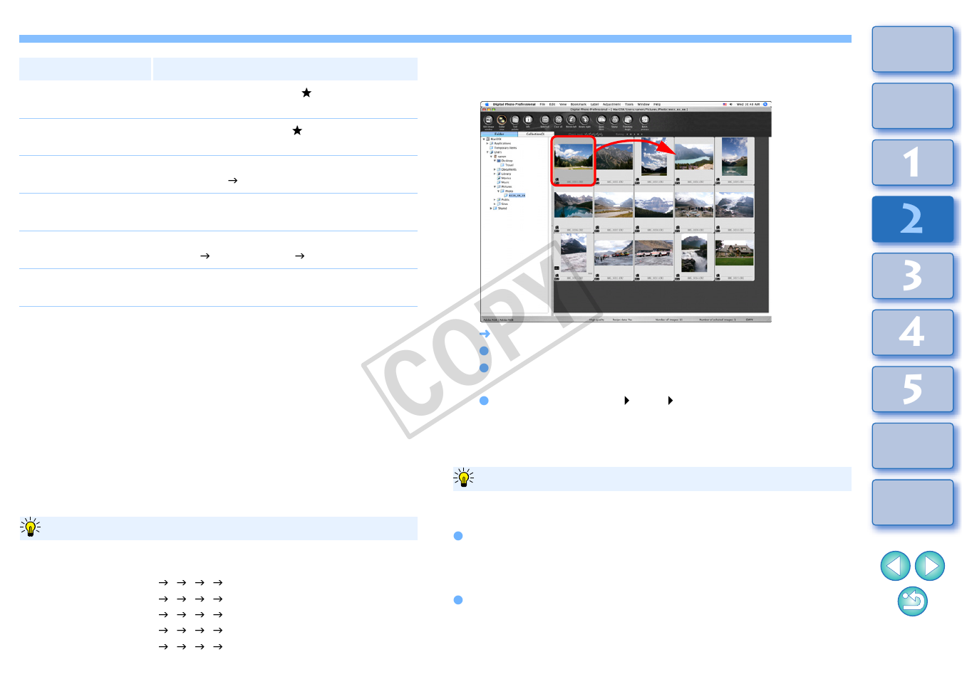 Arranging freely, Cop y | Canon t2i 3.9 for Macintosh User Manual | Page 22 / 132