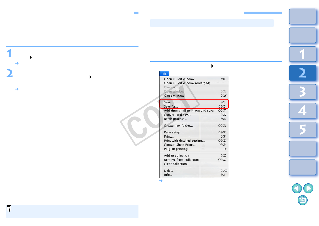 Applying adjustment contents to other images, Saving editing results, P.41 | P.41), Saving editing contents to a raw image, Cop y | Canon t2i 3.9 for Macintosh User Manual | Page 42 / 132