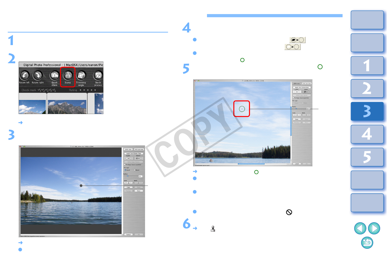 Manually erasing dust (repair function), P.69), Cop y | Canon t2i 3.9 for Macintosh User Manual | Page 70 / 132
