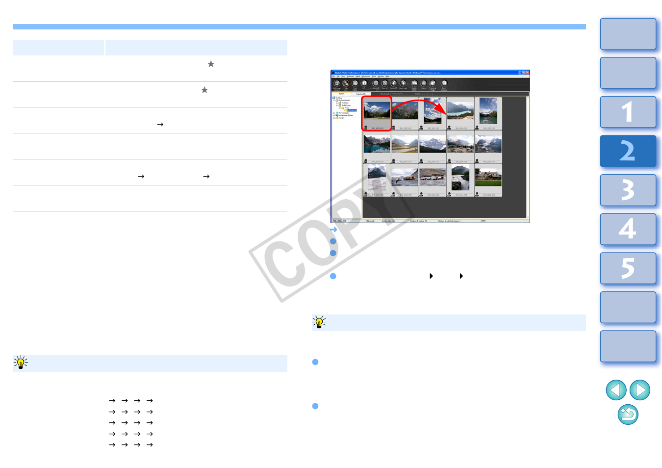 Arranging freely, Cop y | Canon t2i 3.9 for Windows User Manual | Page 22 / 132