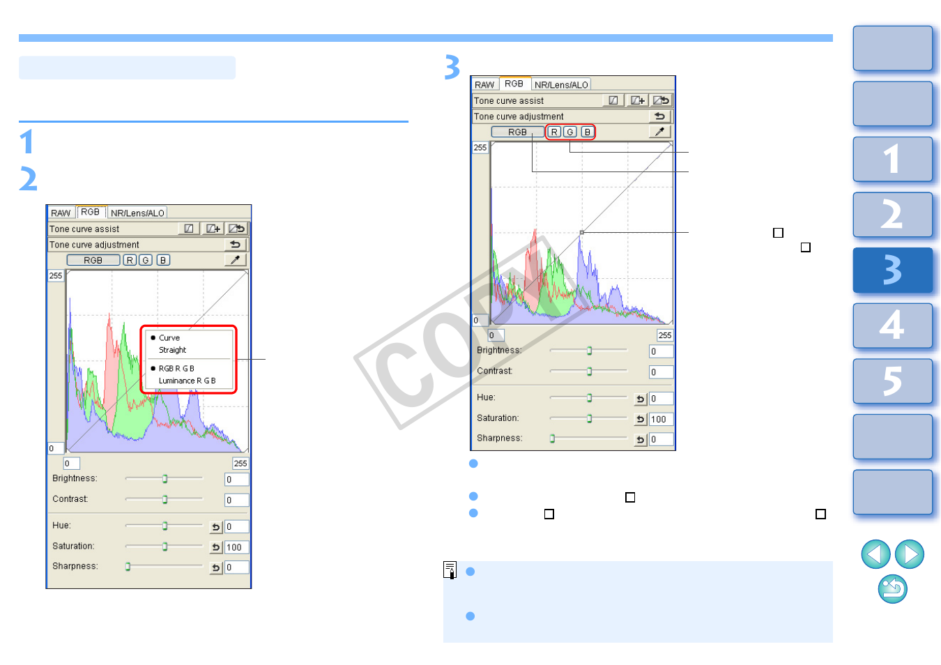 Tone curve adjustment, Cop y | Canon t2i 3.9 for Windows User Manual | Page 59 / 132