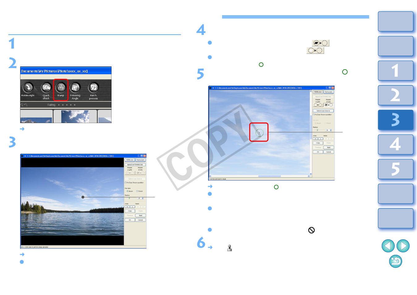 Manually erasing dust (repair function), P.69), Cop y | Canon t2i 3.9 for Windows User Manual | Page 70 / 132