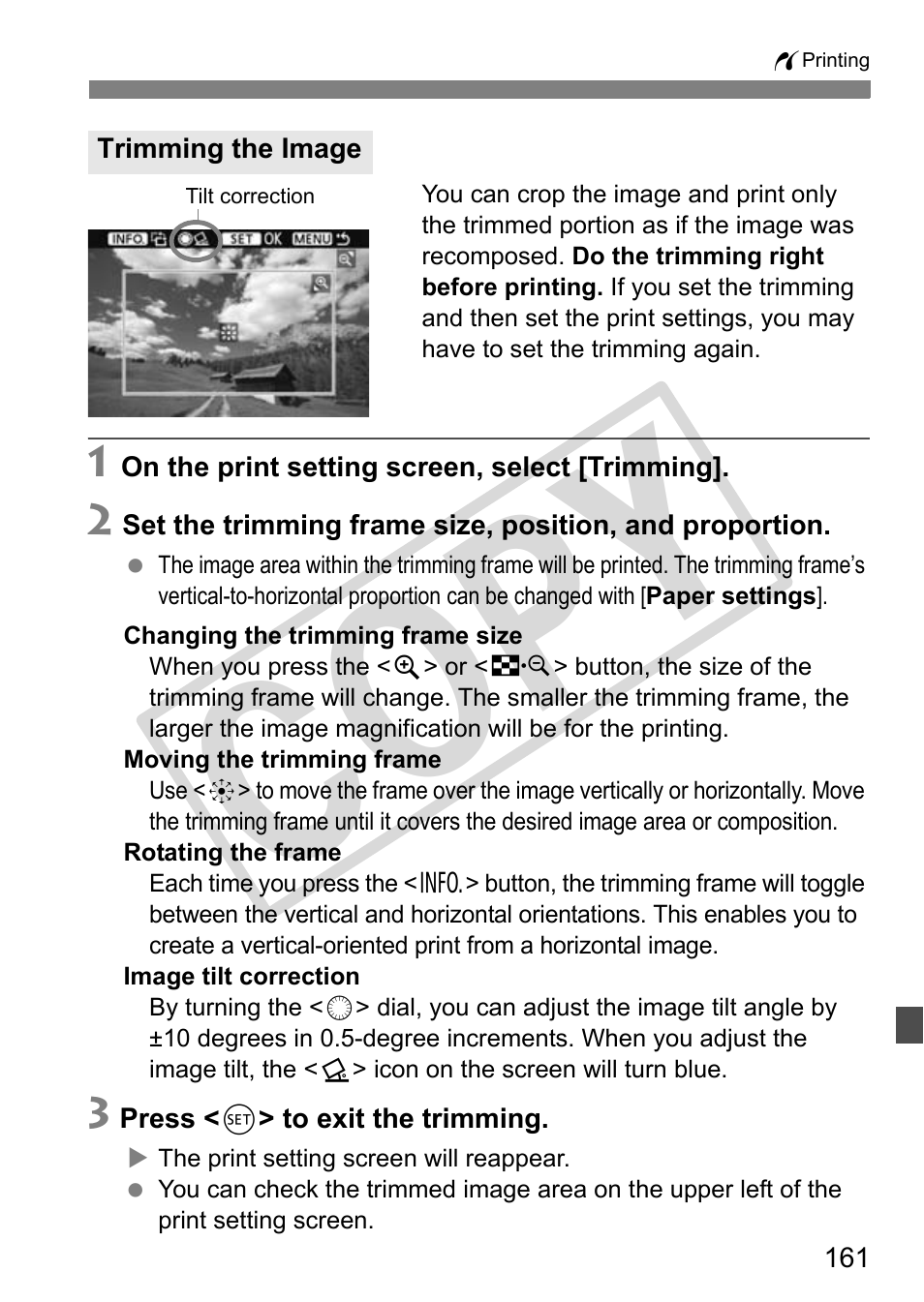 Cop y | Canon EOS 50D User Manual | Page 161 / 228
