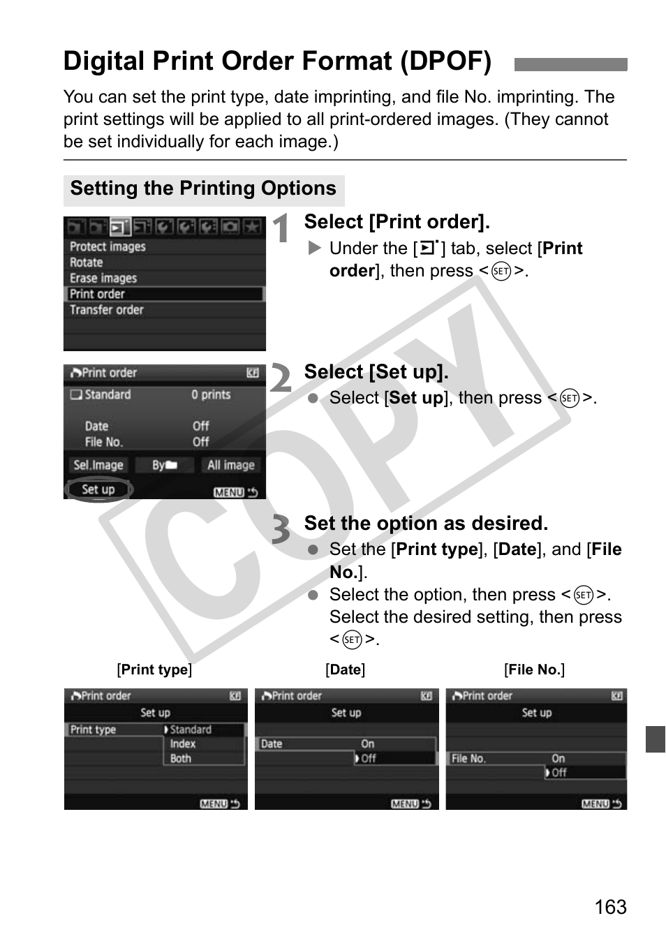 Cop y | Canon EOS 50D User Manual | Page 163 / 228