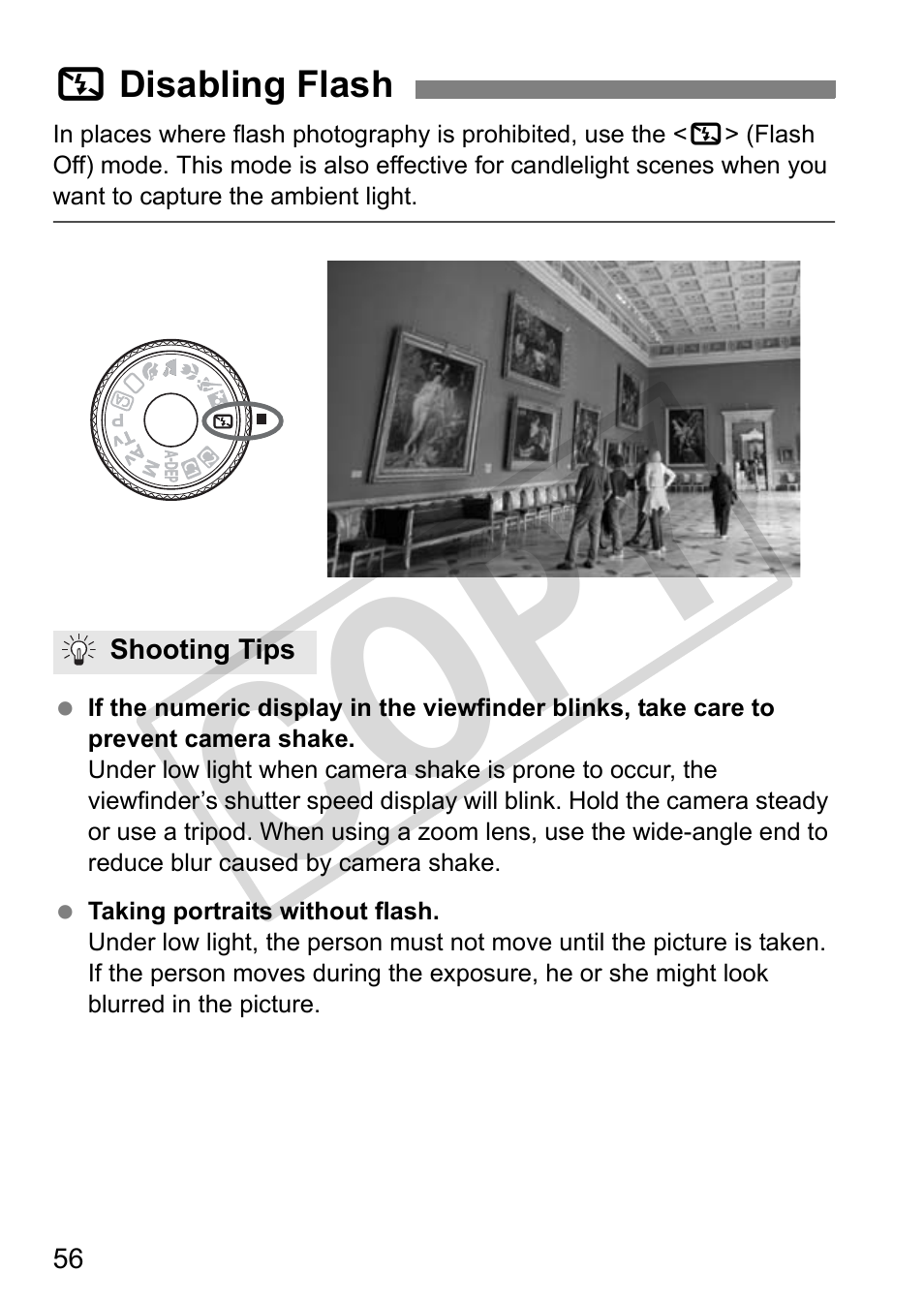 Cop y | Canon EOS 50D User Manual | Page 56 / 228