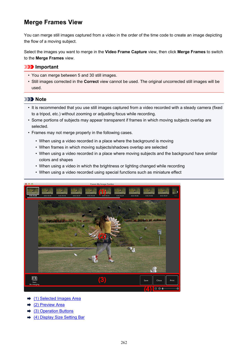 Merge frames view | Canon My Image Garden User Manual | Page 262 / 304