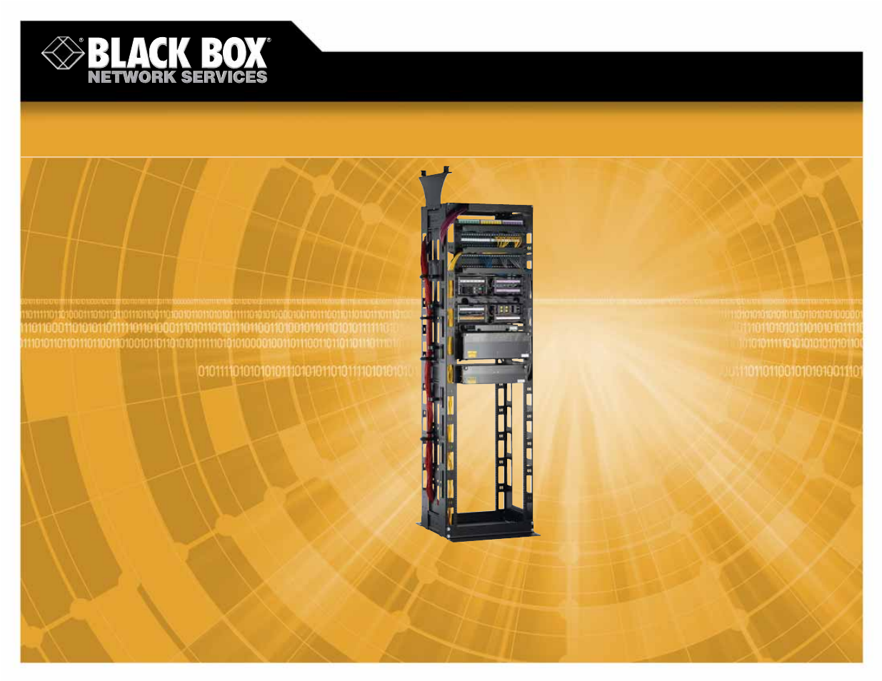 Black Box EXPANDABLE CABLE MANAGEMENT RACK RM1400A User Manual | 2 pages