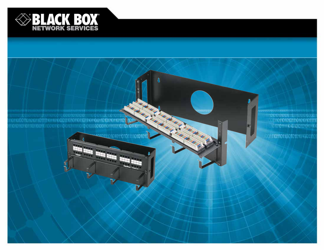 Black Box Hinged Fold-Down and Front-Access Patch Panels User Manual | 3 pages