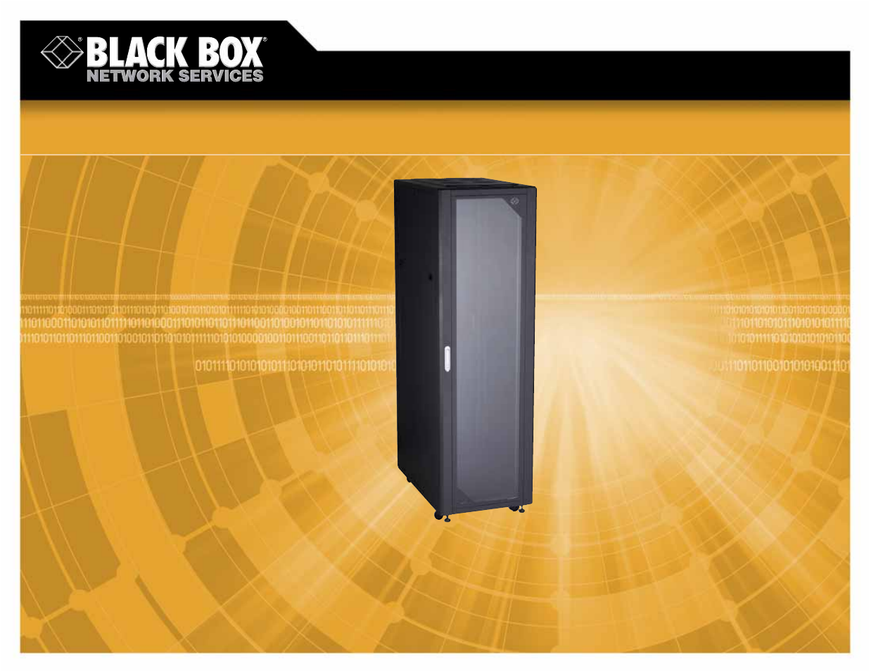 Black Box 42U User Manual | 2 pages