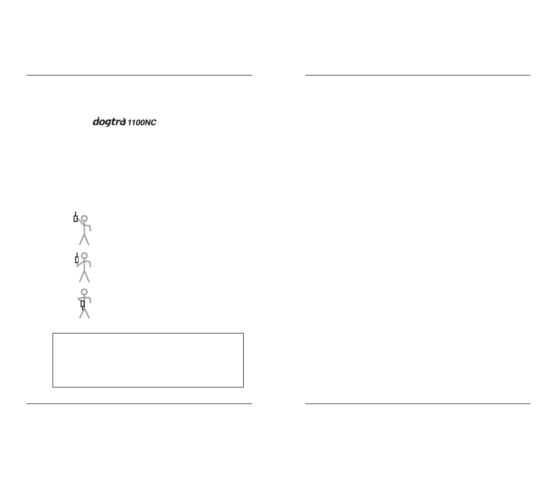 Accessories | Dogtra 1100NC User Manual | Page 16 / 18