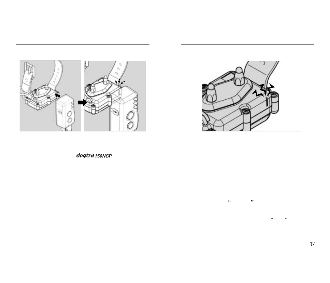 Dogtra 150NCP User Manual | Page 10 / 20