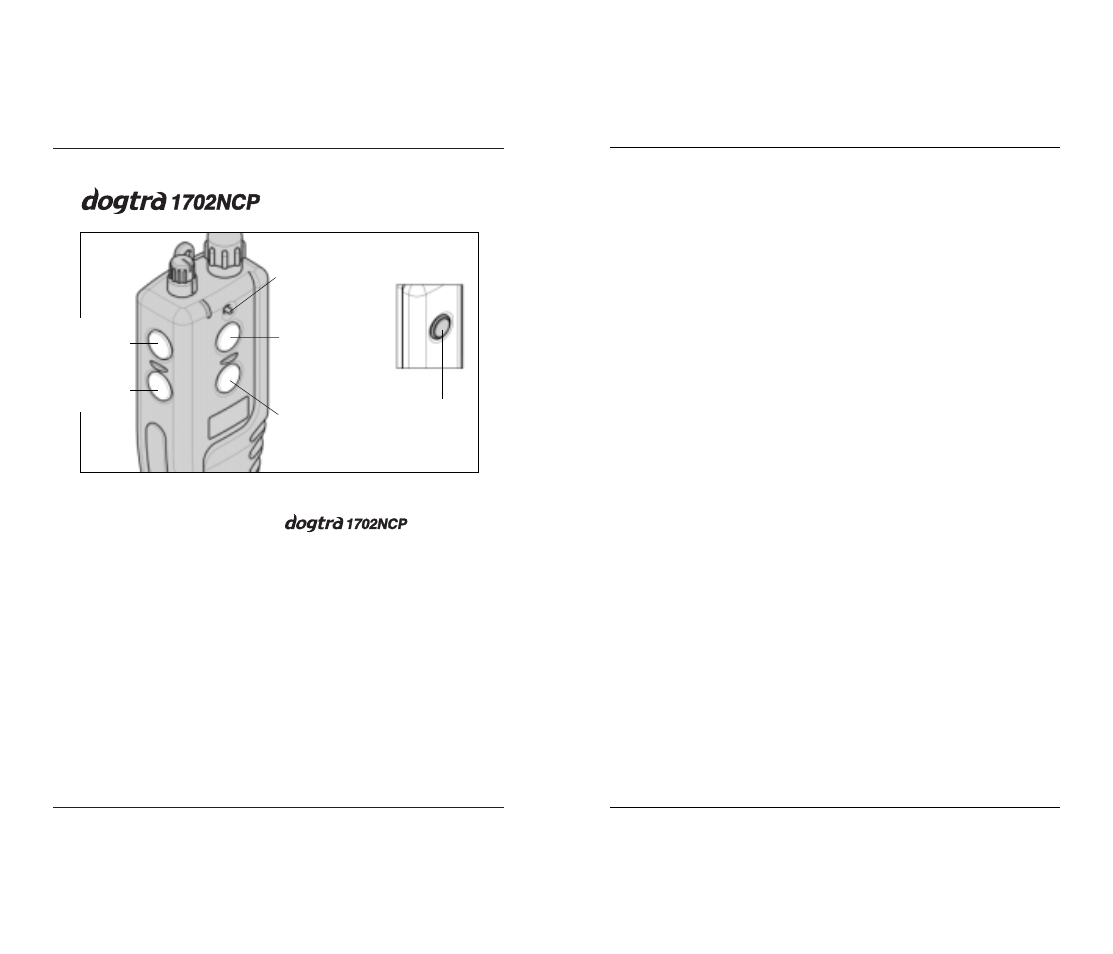 Two-dog models | Dogtra 1700 Series User Manual | Page 11 / 24