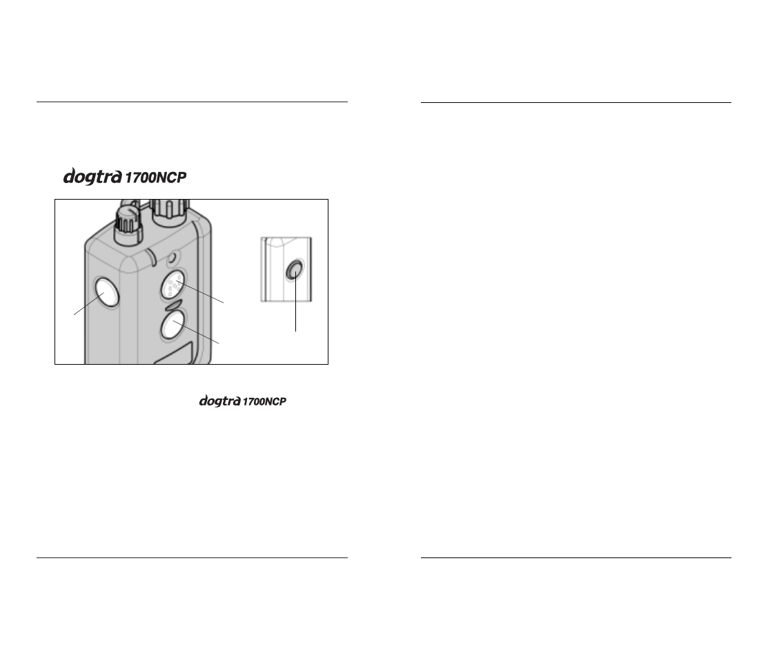 Button function | Dogtra 1700 Series User Manual | Page 9 / 24