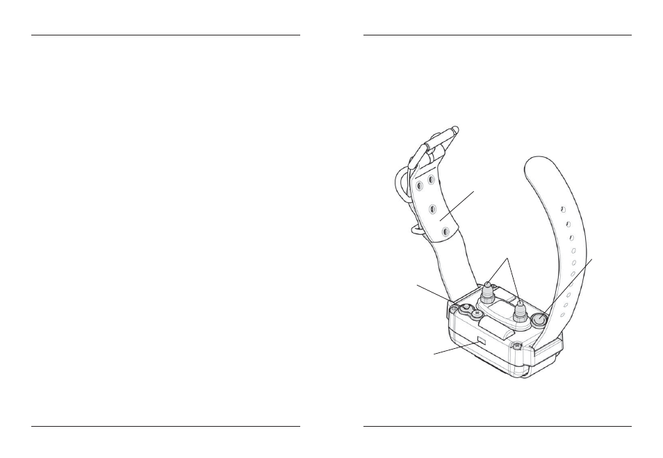 Description of collar / receiver parts | Dogtra 1900 Series User Manual | Page 10 / 21