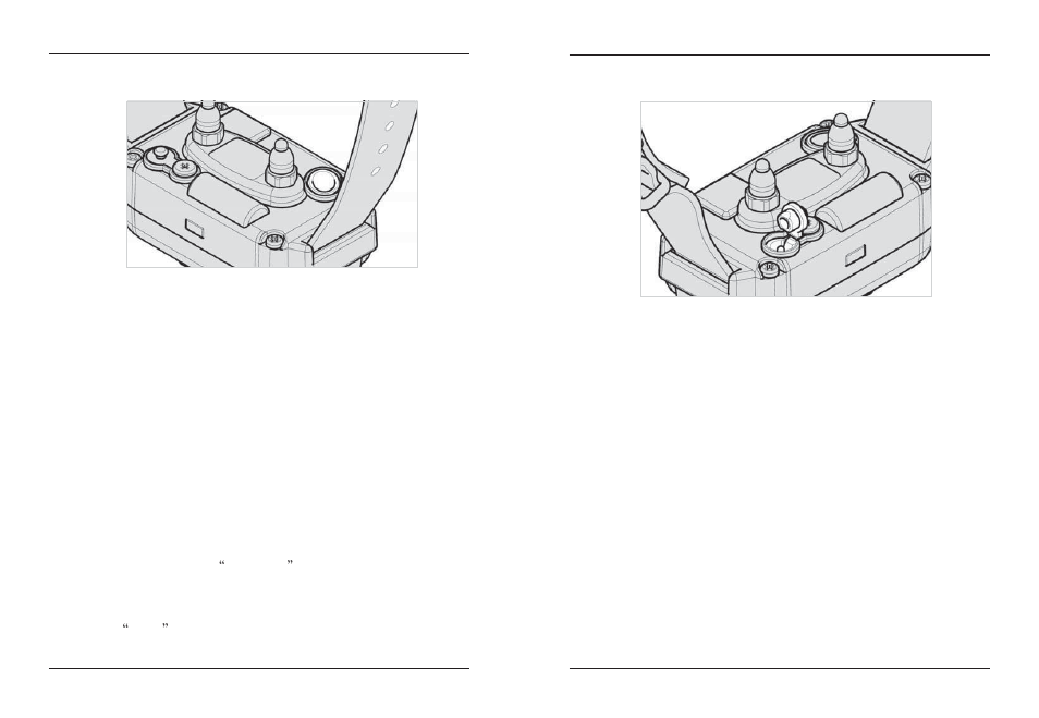 Dogtra 1900 Series User Manual | Page 11 / 21