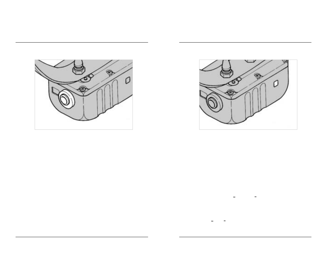 Dogtra 2000 Series User Manual | Page 11 / 20