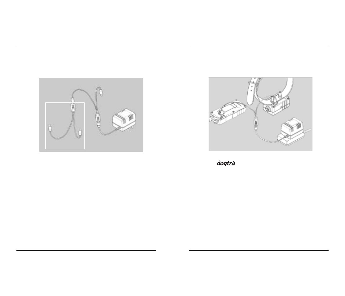 Charging the batteries, Battery charger | Dogtra 2000 Series User Manual | Page 13 / 20