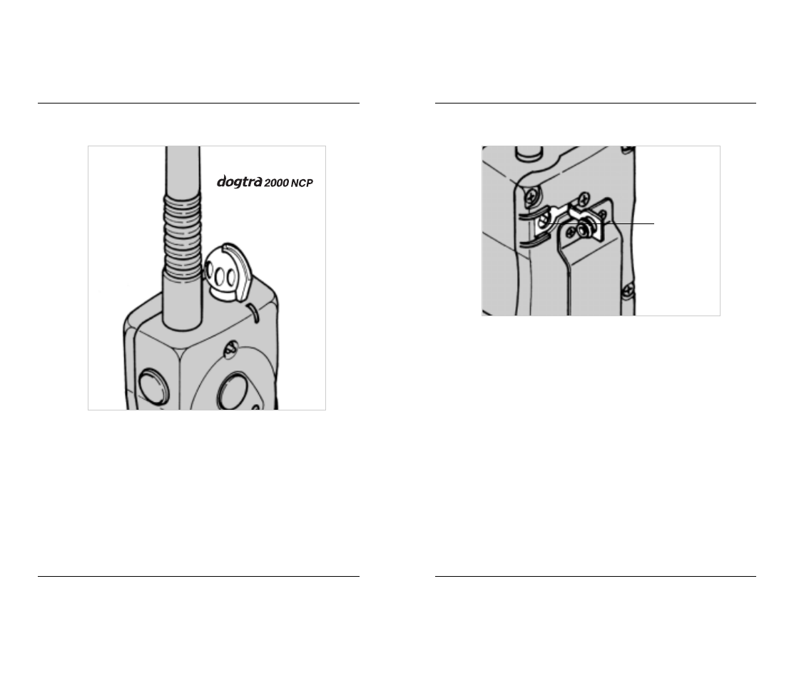 Dogtra 2000 Series User Manual | Page 7 / 20