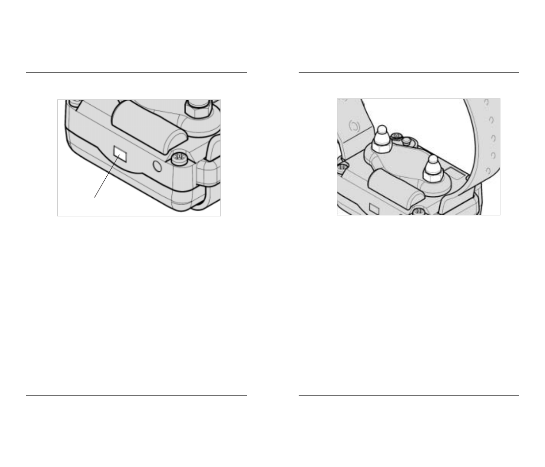 Dogtra 210 Series User Manual | Page 10 / 18