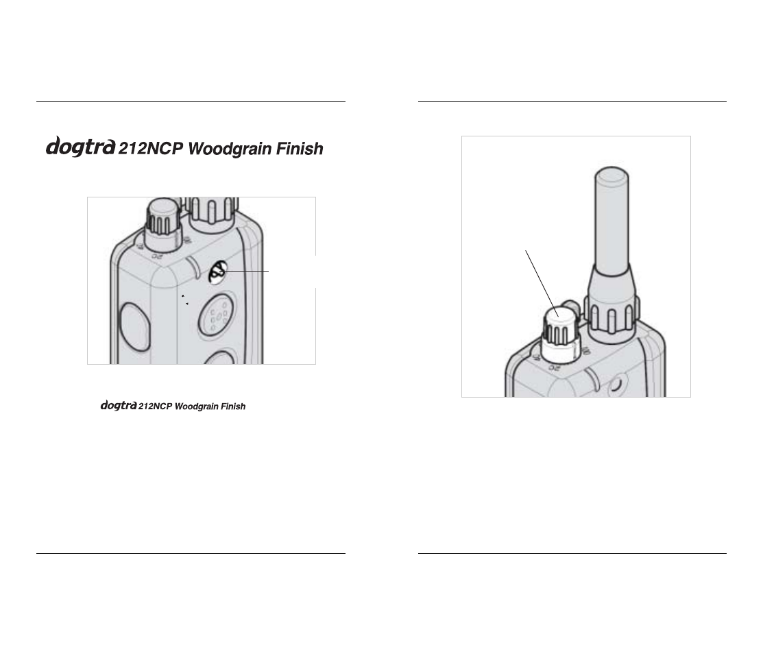 Two-dog models | Dogtra 210 Series User Manual | Page 6 / 18