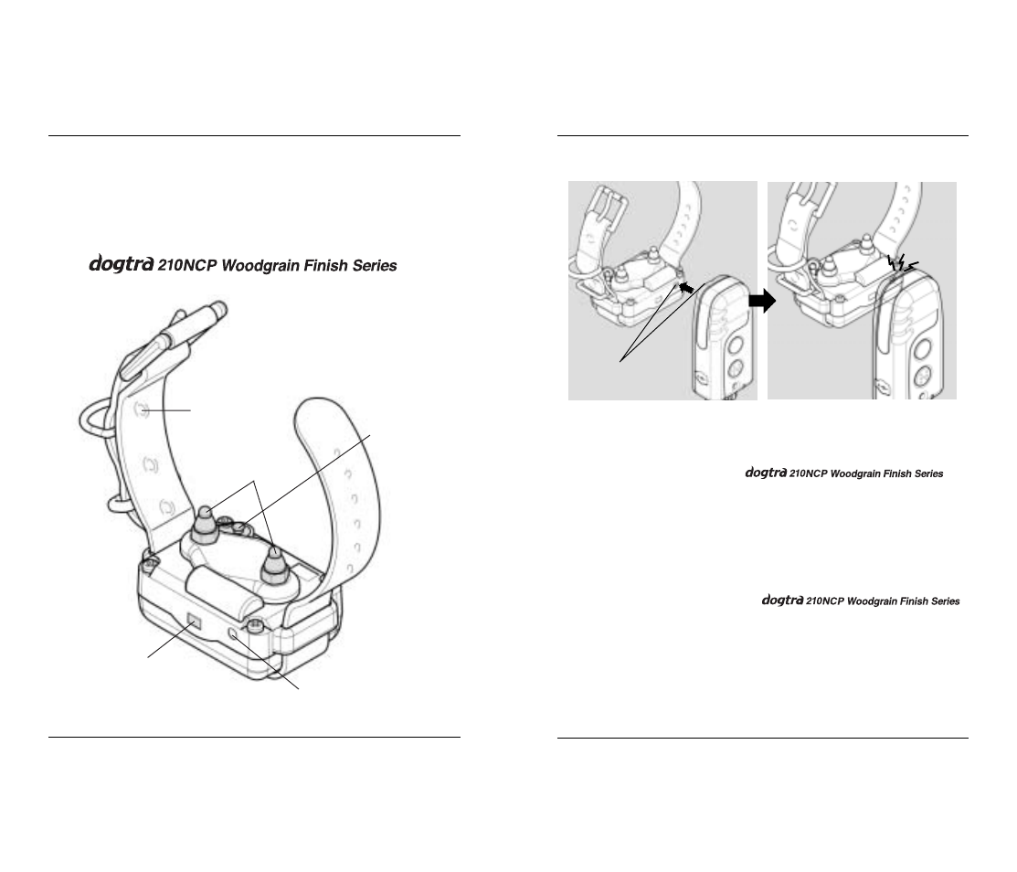 Description of collar / receiver parts | Dogtra 210 Series User Manual | Page 9 / 18