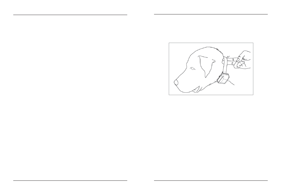 Fitting the collar on the dog | Dogtra 2300 Series User Manual | Page 13 / 20