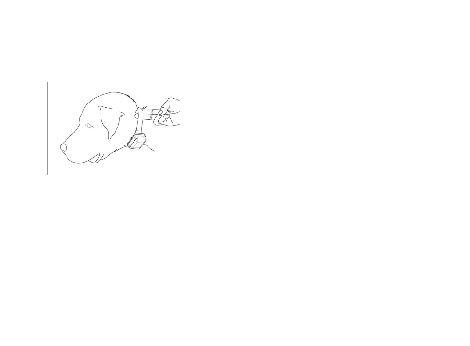 Fitting the collar on the dog | Dogtra 280 Series User Manual | Page 14 / 22