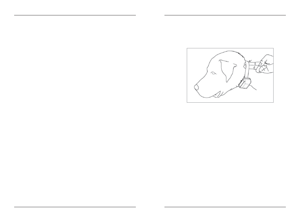 Fitting the collar on the dog | Dogtra SureStim M Plus User Manual | Page 12 / 20