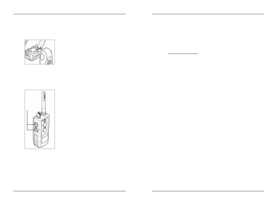Accessories | Dogtra SureStim M Plus User Manual | Page 16 / 20