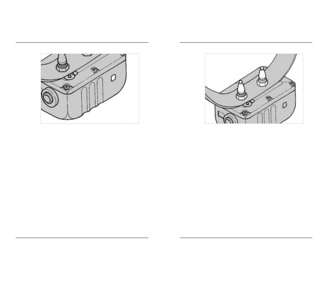 Dogtra 1200 Series User Manual | Page 12 / 22