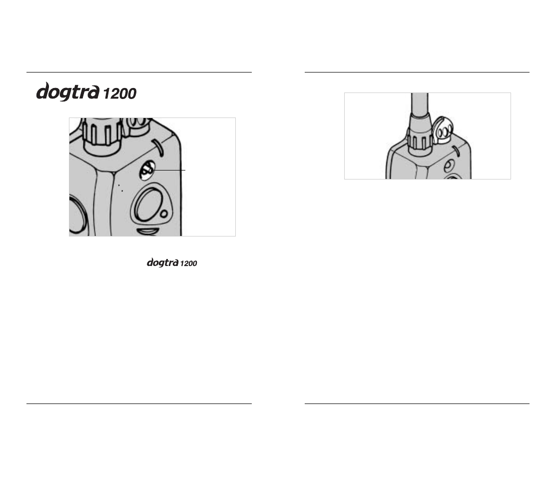 Two-dog models | Dogtra 1200 Series User Manual | Page 7 / 22