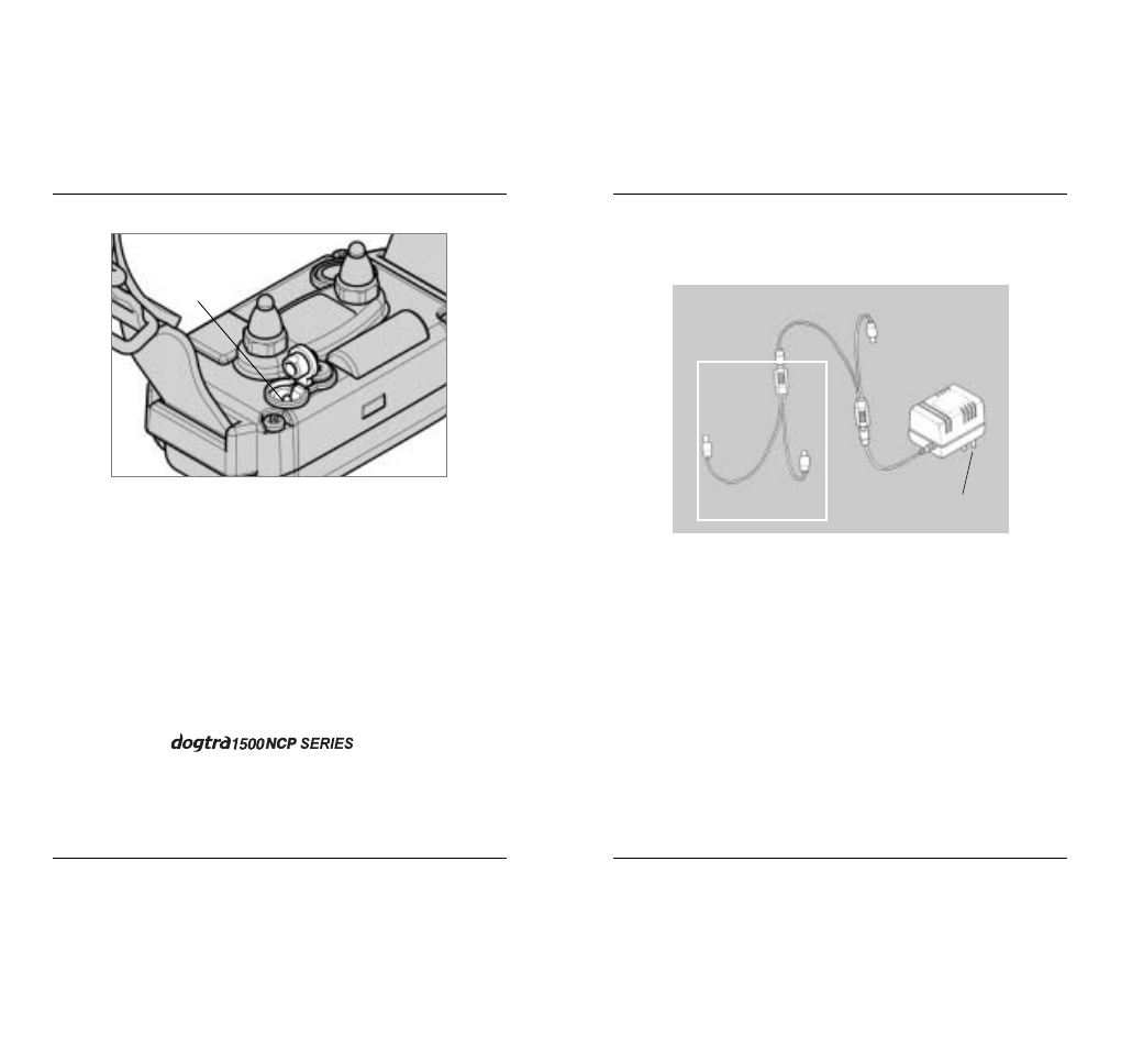 Battery charger | Dogtra 1500 Series User Manual | Page 11 / 18