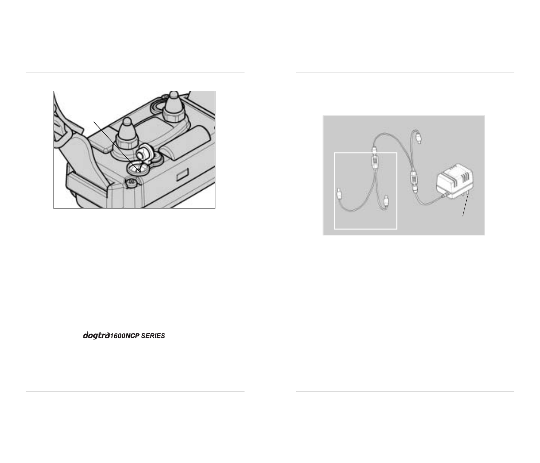 Battery charger | Dogtra 1600 Series User Manual | Page 11 / 20
