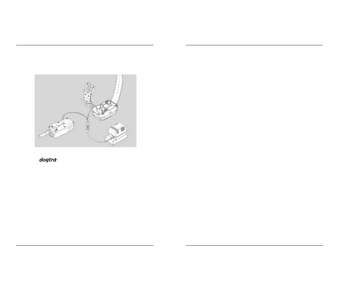 Charging the batteries | Dogtra 1600 Series User Manual | Page 12 / 20