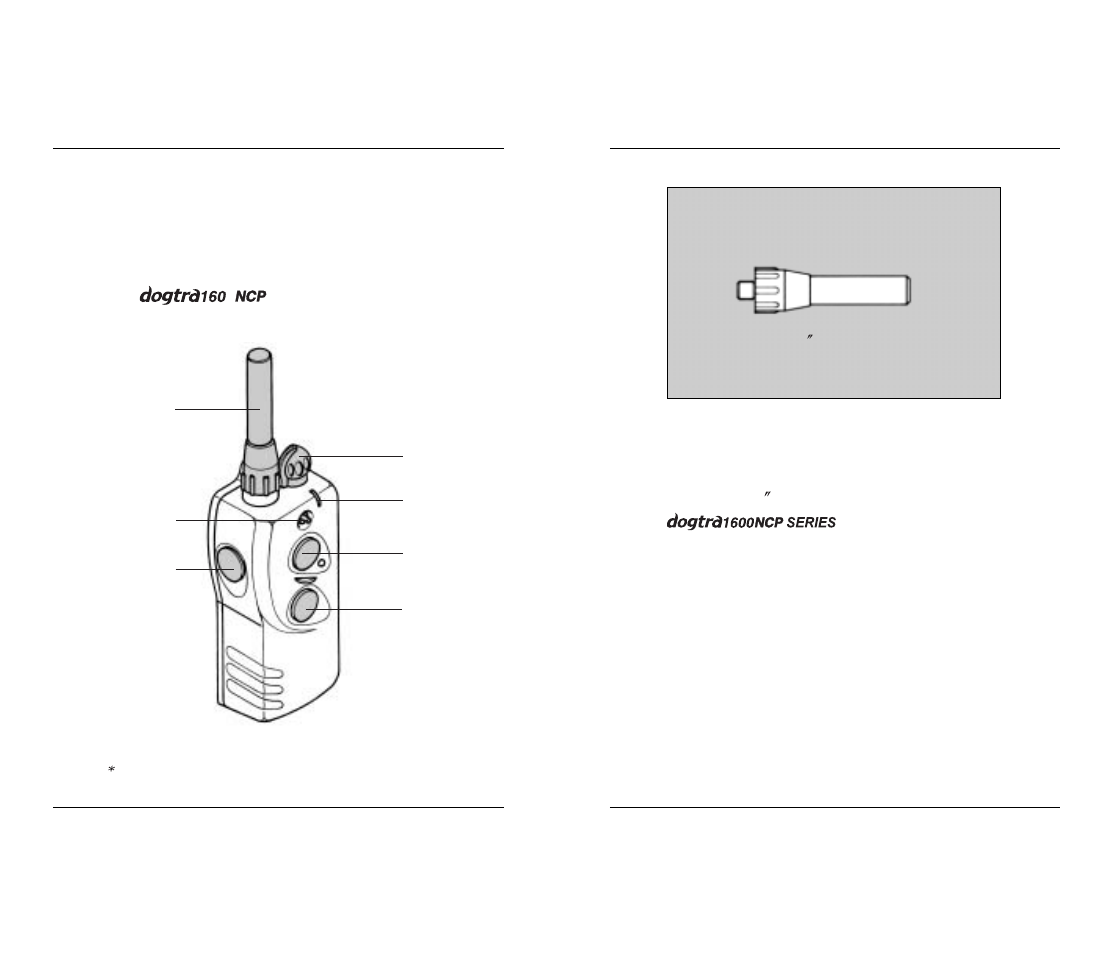 Description of transmitter parts | Dogtra 1600 Series User Manual | Page 5 / 20